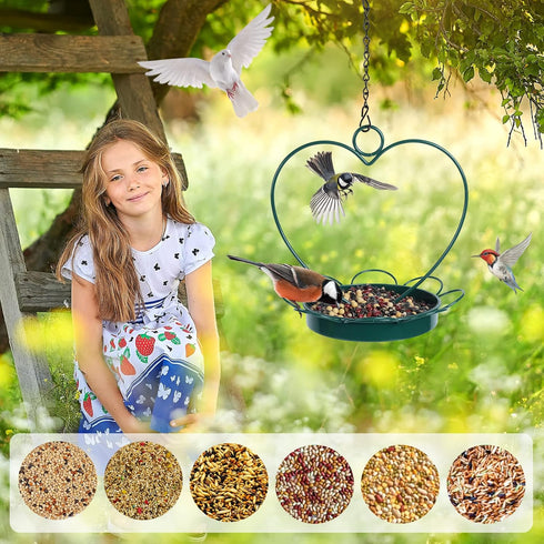 Bird Feeder for Wild Birds Outdoor Hanging Bird Feeder for Garden and Patio (7.87 * 8.66)...