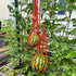 Melon Hammocks Cradles, 5 Pack of Nets for Melons, Perfect for Growing Cantaloupe, Watermelon in Vertical Garden (Orange)...