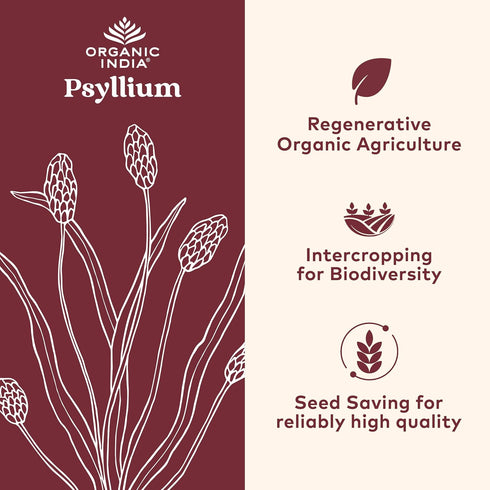 ORGANIC INDIA Psyllium Herbal Powder - Whole Husk Fiber, Healthy Elimination, Keto Friendly, Vegan, Gluten-Free, USDA Certified Organic, Non-GMO, ...