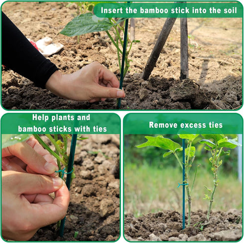 Plant Stakes 50 PCS Garden Green Bamboo Sticks Plant Support Stakes for Indoor and Outdoor Plants, Wooden Sign Posting Flower Pot Garden Stakes(15...