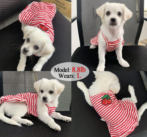 Dog Shirt Striped Skirt Pet Dress Clothes, Puppy T-Shirts Soft Costumes, Puppy Apparel Print Vest Outfits for Small Medium Dogs and Cats Princess ...