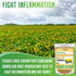 XPRS Nutra Organic Dandelion Root Powder - Vegan Friendly Antioxidant Power for Liver Support - Dandelion Root for Tea and Beverages - Immune Boos...