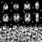 Dilunave 240 Pieces Large Sew on Rhinestones Clear Glass Crystal Gems Diamond Stone Metal Back Prong Setting Crafts Mix Shapes Claw for Jewelry, C...