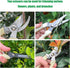 two pack Garden Flower Scissors,Lightweight Hand Pruners Make Cut Smooth & Clean,Premium Plant Shears,Powerful Trimmer Applied to Flowers,Branches...