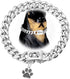 Dog Chain Collars Cuban Link Dog Collar 12mm with Dog tag Buckle Silver Cuban Link Collar Stainless Steel Dog Chain Collars for Puppy Small Medium...