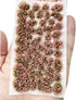 Cayway 106 PCS Static Grass Tufts Model Grass Tufts Artificial Grass, Flower Cluster Model Static Scenery Model for Train Landscape Railway Artifi...