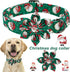 ARING PET Christmas Dog Collar-Green Santa Claus Dog Collar with Flower, Adjustable Cotton Christmas Pet Collars Girl Puppy Collars...