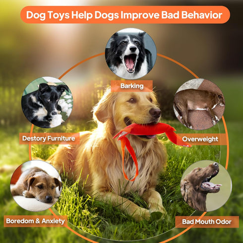 PetiFine Tug of War Dog Toy,Training Interactive Squeaky Dog Toys for Small Dogs,Tough Dog Toys for Aggressive Chewers - Puppy Toys to Keep Them B...