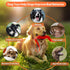 PetiFine Tug of War Dog Toy,Training Interactive Squeaky Dog Toys for Small Dogs,Tough Dog Toys for Aggressive Chewers - Puppy Toys to Keep Them B...