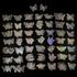 Holographic Glitter Flower Stickers (100 Pieces), Large Transparent Waterproof Stickers, Decorative Plant Stickers for Scrapbooking, Bullet Journa...