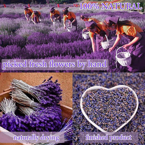 20 Bags Dried Flowers,100% Natural Dried Flowers Herbs Kit for Soap Making, DIY Candle Making,Bath - Include Rose Petals,Lavender,Don't Forget Me,...