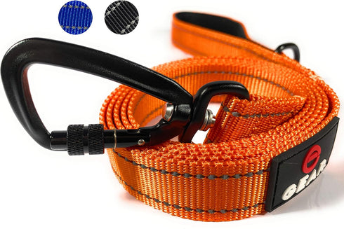 Nylon Dog Leash with Locking Carabiner for Large Medium Small Breeds – Heavy Duty Reflective Nylon Lead with Padded Handle for Everyday Walking, R...