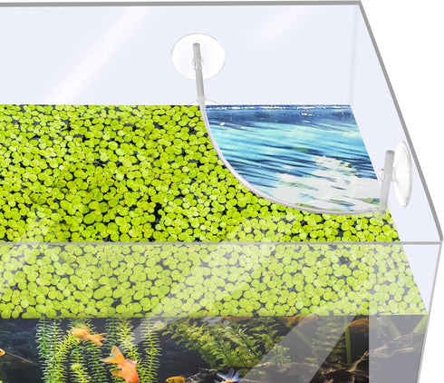 Aquarium Floating Plant Corral, Clear Plastic Floating Plant Fence for Aquarium Fish Tank Plant Fence Aquarium Fish Tank Accessories for Separatin...