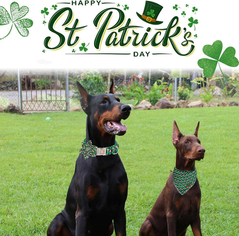 MR. CHUBBYFACE St.Patrick's Day Clover Dog Collar,Pink Green Clovers Adjustable Dog Collar with Flower Tie for Small Medium Large Dogs,L...