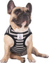 iChoue French Bulldog 100% Breathable Cotton Striped T Shirts Summer Cooling Vest Clothes for Medium Dogs Tank Tops Frenchie Pug English Boston Te...