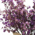 JAKY-Global Babys Breath Fabric Cloth Artificial Flowers 6 Bundle European Fake Silk Plants Decor Farmhouse Wedding Party Decoration Bouquets Real...