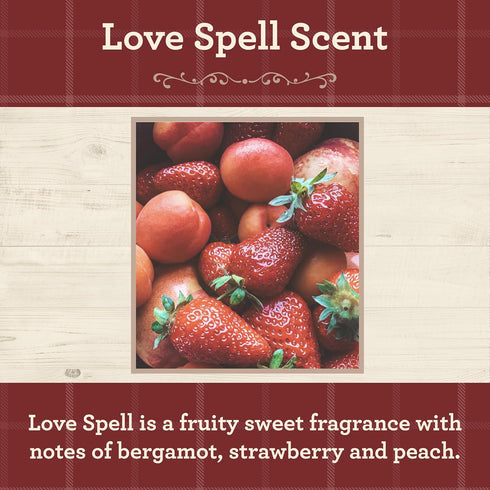Our Own Candle Company - Lovespell Scented, Premium Grade Home Fragrance Oil for Diffusers (2oz)...