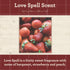 Our Own Candle Company - Lovespell Scented, Premium Grade Home Fragrance Oil for Diffusers (2oz)...