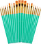 Paint Brushes Set, 20 Pcs Paint Brushes for Acrylic Painting, Oil Watercolor Acrylic Paint Brush, Artist Paintbrushes for Body Face Rock Canvas, K...