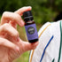 Edens Garden Lavender- French Essential Oil- 100% Pure Premium Grade, Undiluted, Natural, Therapeutic, Aromatherapy, The Best for Diffuser, Face, ...