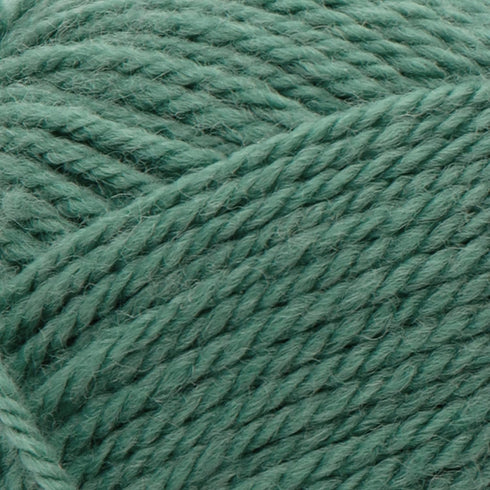 Patons Classic Wool Yarn, Rich Grass...
