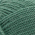Patons Classic Wool Yarn, Rich Grass...