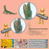 Mini Amphibians Set,6PCS Reptiles Animals Rainforest Wildlife Toy Set Lizard,Snake,Iguana,Crocodile,Party Favor for Kids Toddlers...