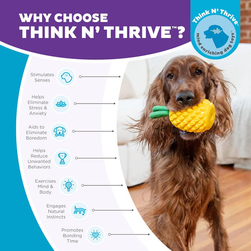 Outward Hound Dental Pineapple Dental Chew Toy and Interactive Treat Stuffer Durable Dog Toy Stuffable Dog Toy, Yellow...