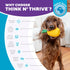 Outward Hound Dental Pineapple Dental Chew Toy and Interactive Treat Stuffer Durable Dog Toy Stuffable Dog Toy, Yellow...