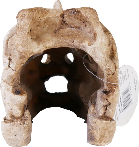 Penn-Plax Rhino Skull Aquarium Decoration - Aged Dinosaur Skeleton Décor – for Fish Tanks (RR1067)...