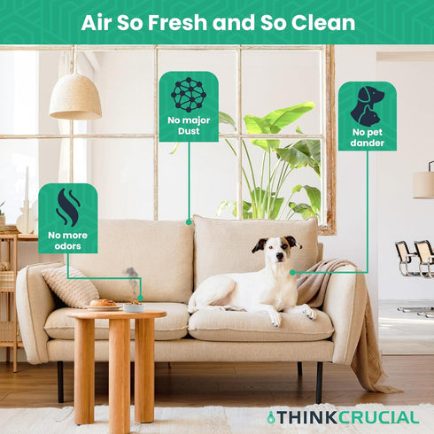 Think Crucial Replacement Vacuum Filter – Compatible with Black & Decker Pre-Filter Part # BDASV102 – Fits Black & Decker Air Swivel Vacuum Cleane...