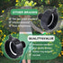 275-330 Gallon IBC Tote Adapter, 2" Fine Thread to 3/4" Male Thread, Food Grade Drain Adapter for Garden Hose Connection...