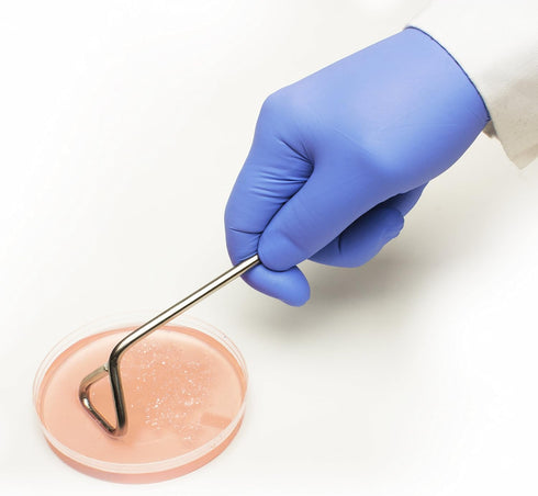 SP Bel-Art Bacterial Cell Spreader for 9cm Plates; Stainless Steel, 1.0 in. Wide Spreading Bar (F37736-0009)...