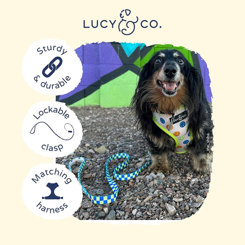 Lucy & Co. Designer Dog Leash - Pet Accessories - Thick Dog Leash - Padded Handle for Comfort - Purple with Green Floral - 5 Foot (Lime Green Blue...