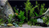 Aquarium Background Roots Cobblestone Underwater Various Aquatic Plants Terrarium Background Jungle Stones Style Aquarium Backdrop Fish Tank Backg...