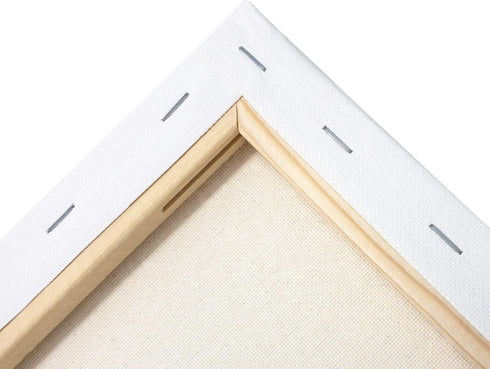 milo Stretched Artist Canvas | 8x10 inch | Value Pack of 10 Canvases for Painting, Primed & Ready to Paint Art Supplies for Acrylic, Oil, Mixed We...