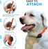 Nylon Replacement Collar - Shock Collar Replacement Collar, Invisible Fence Collar Replacement, Compatible with Pet Safe & Invisible Fence & PetSa...