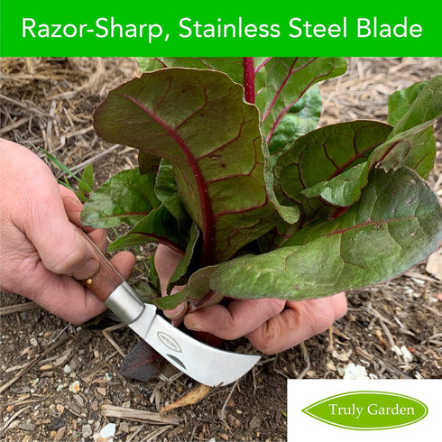 Folding Garden Knife. This Hawkbill Blade is Curved Making it Great for Hundreds of Uses. Not Just a Great Gift for a Gardener....