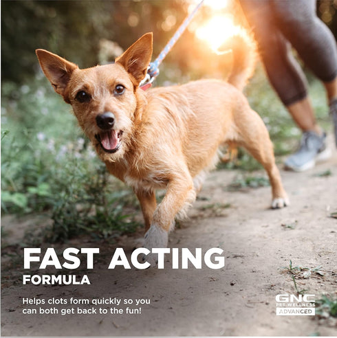 GNC Pets Advanced Styptic Powder for Dogs | Styptic Powder for Dogs, Use for Nail Clipping | Stop Bleeding with Styptic Powder for Dogs | Dog Styp...