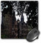 3dRose LLC 8 x 8 x 0.25 Inches Mouse Pad, The Cardiff (mp_44634_1)...