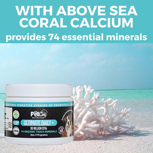 Ultimate Pet Chef Dog Cat Powder Food Topper. 74 Organic Minerals, Prebiotics, Probiotics, Hip and Joint Benefits and Luxurious Fur. Stops Fur She...