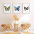 Yinder 5 Sets Embroidery Beginners Kit with Butterfly Flower Patterns and Instructions Cross Stitch Kits for Starter DIY Adult Kids Butterfly Patt...