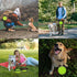 Collapsible Silicone Cat and Dog Travel Bowls,2 in 1 Foldable Pet Feeding and Watering Dish for Walking Camping Hiking with Carabiner (Green)...