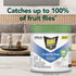 Raid Essentials Fruit Fly Trap for Indoors, Made with Essential Oils, Child and Pet Safe, 5.4 oz...