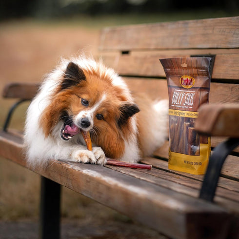 Cadet Bully Sticks for Small, Medium and Large Dogs – All-Natural Beef Pizzle, High Protein, Low Fat, Long-Lasting, Grain & Rawhide-Free Dog Chews...
