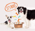 Nylabone Chew Toy Dog Surprise Box Variety Small/Regular (1 Count)...