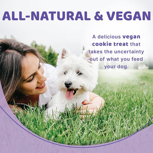 Halo Plant-Based Dog Treats with Peanut Butter and Banana, Vegan Dog Treat Pouch, 8oz bag...
