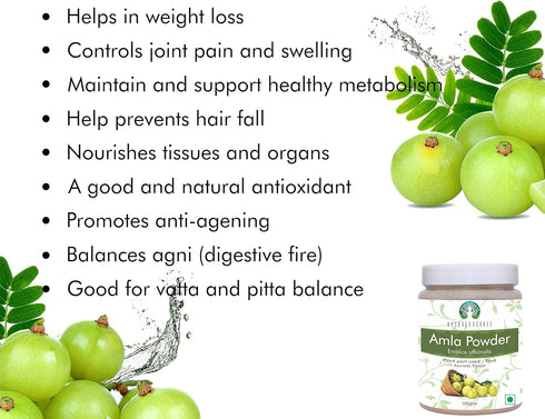 Amla Fruit Powder (Amalaki) 100 Gm | Raw and Non GMO | Rich in Antioxidant Vitamin C | Vegan | 100% Raw from India | Emblica Officinalis | Indian ...