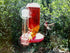 Gadjit Hummingbird Window Feeder, Fun Project for Kids at Home (Red)"...