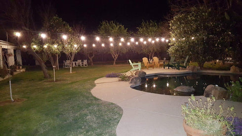 Shatterproof & Waterproof S14 String Light Bulbs-Equivalent to 10 W, S14 led Bulb fits for Commercial Outdoor Patio Garden Vintage Lights, E26 Bas...